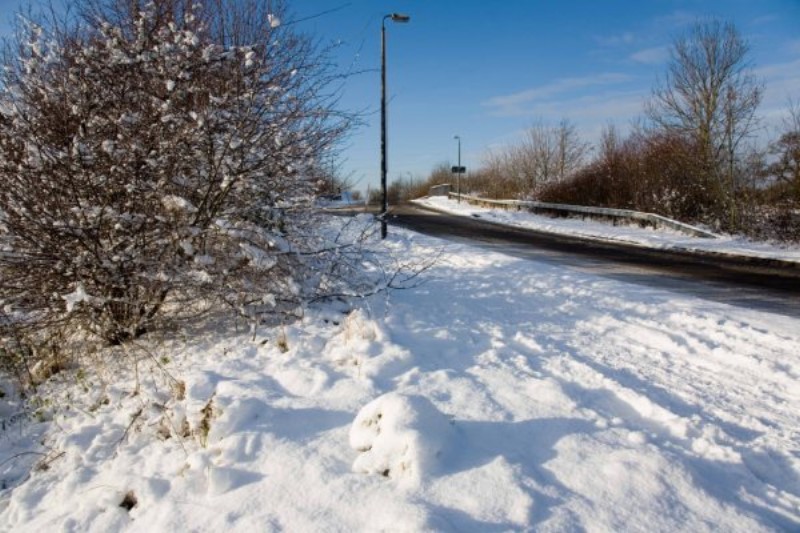 ../Images/Jan 6th 2010-30.jpg